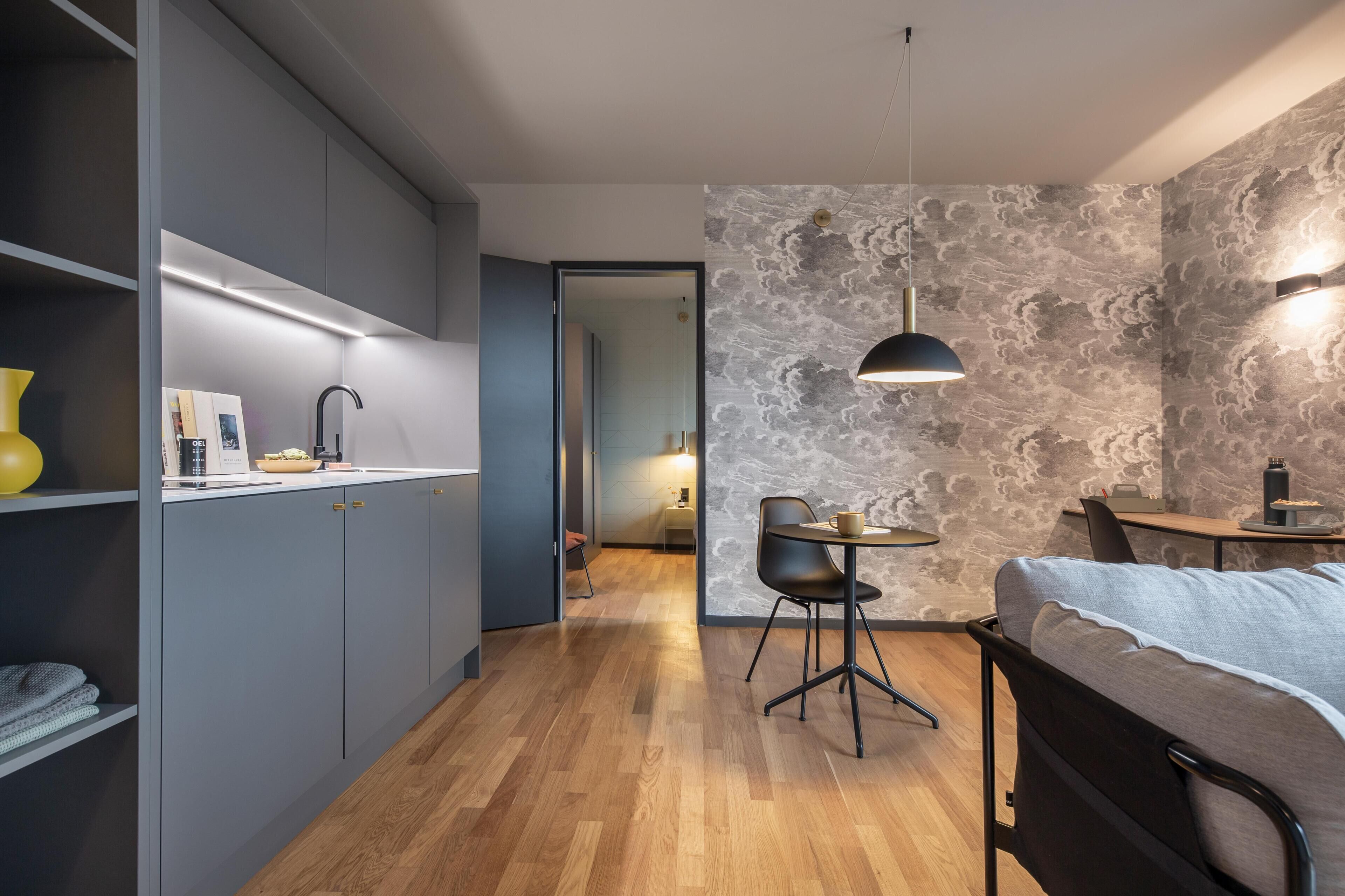 Apartamento estándar, 1 cama de matrimonio, cocina (with Sofabed, Full Kitchen) | Cocina básica privada | Frigorífico grande, microondas, placa de cocina y lavavajillas