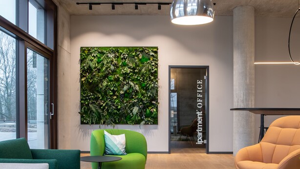 Ein modernes Büro mit einem grünen Sofa, einem beigen Sofa, einem schwarzen Couchtisch und einem grünen Teppich.