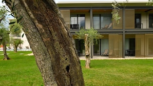 Un árbol con un agujero visible en el tronco, un edificio moderno con ventanas amplias y balcones, y un césped.