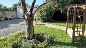 A garden with a unique tree structure, a wooden pergola, and a gravel patio area. - La Poulette (Ancy-le-Libre)