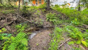 A rustic cabin surrounded by dense forest and a small stream. - Private Cabin at the Foot of the Mountains (Donnelly)
