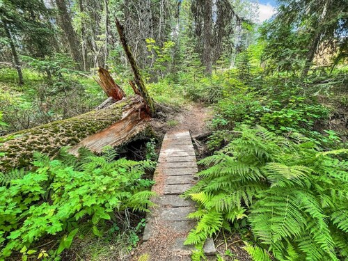Private Cabin at the Foot of the Mountains