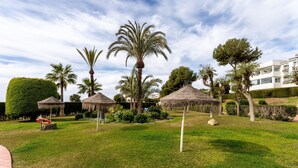 Ein gepflegter Garten mit Palmen, Reetdachschirmen und einem gepflasterten Weg.
