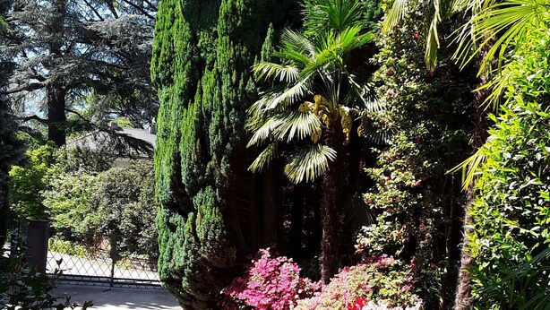 A pathway lined with various plants and trees, leading to a building with a tiled roof. - Villa Coris Apartment Magnolia 110 sqm with Garden (Merano)