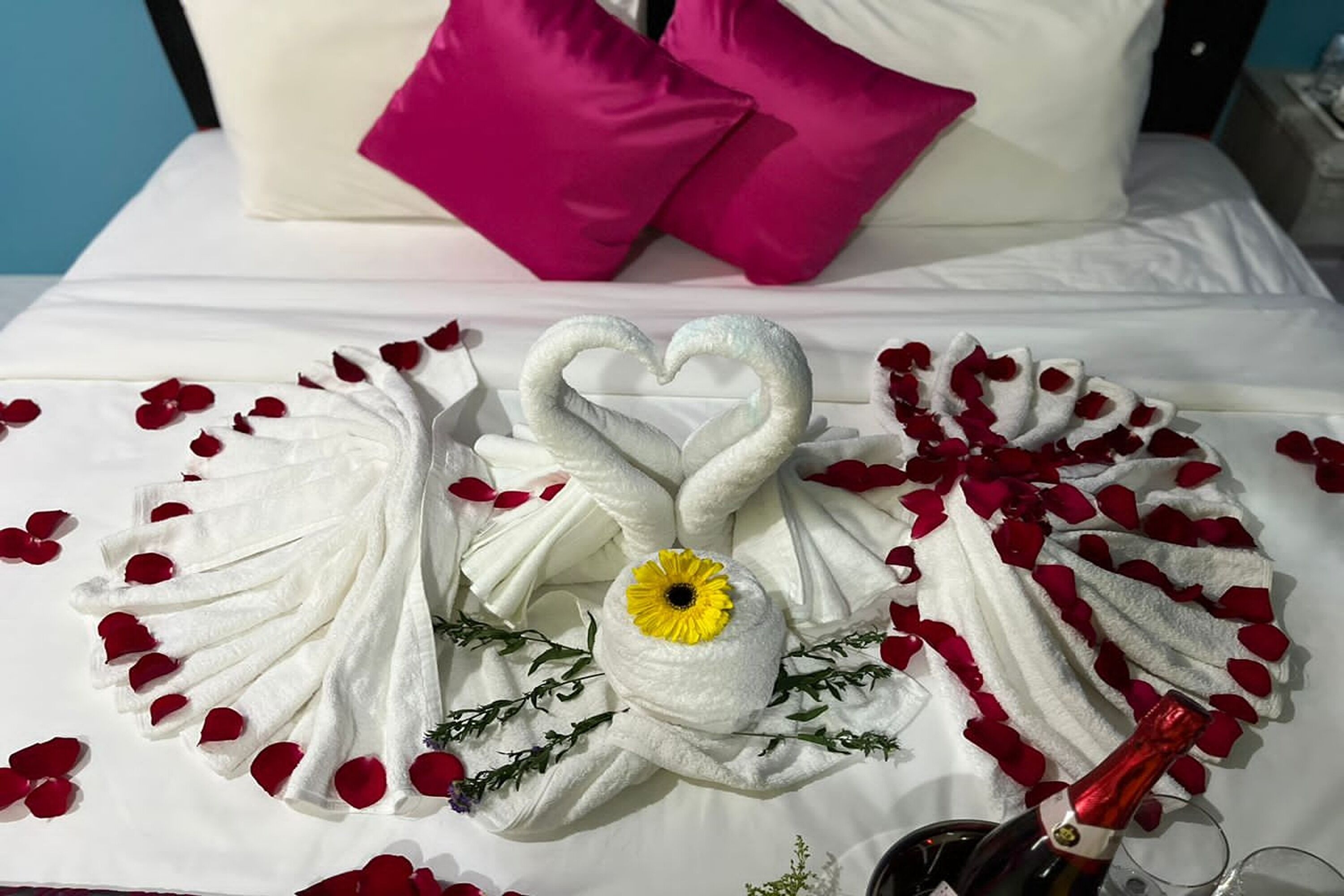 Suite Deluxe