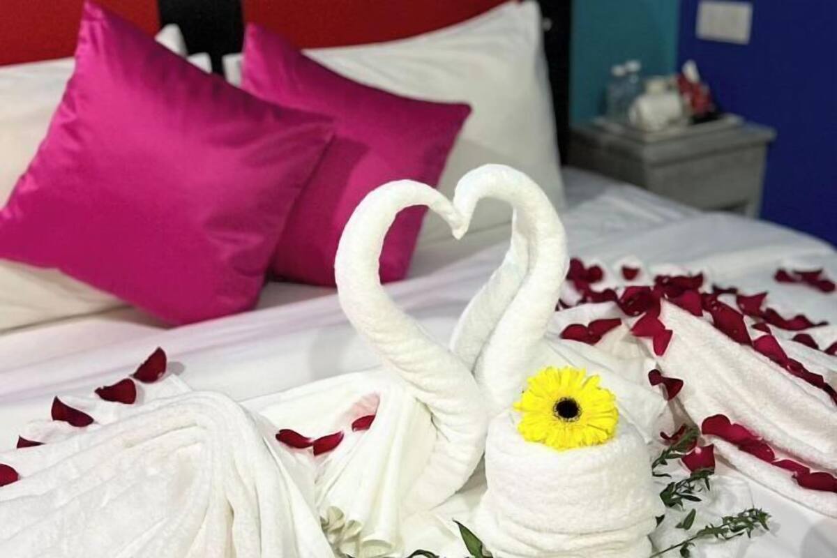 1 habitación, escritorio, wifi gratis y ropa de cama