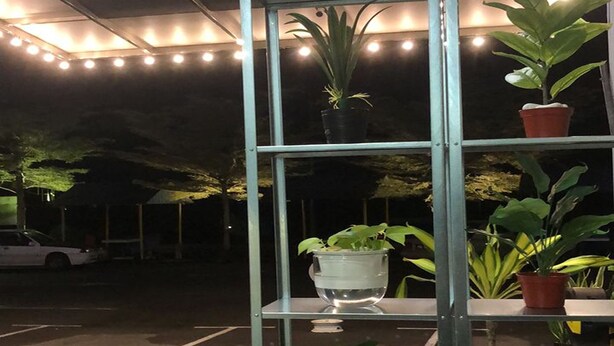 A metal shelving unit with potted plants and a water feature in a dimly lit outdoor area. - Sy Jerantut Hotel (Jerantut)