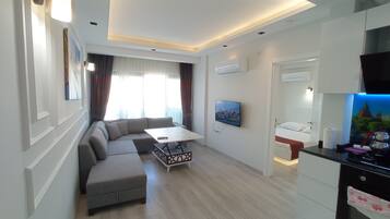 40-inch LCD TV with satellite channels, TV