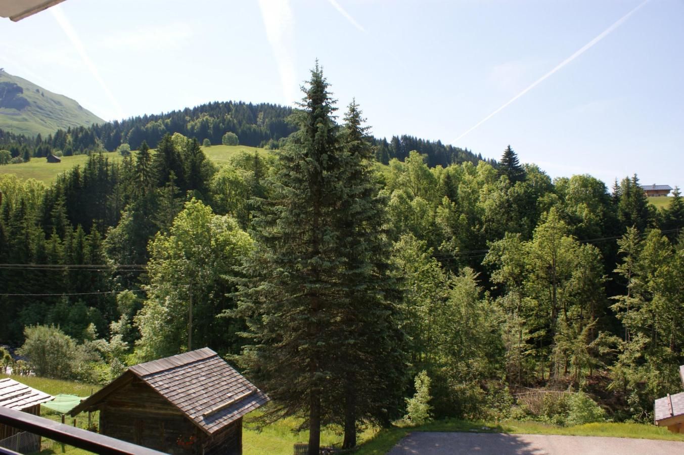 Una cabaña con vista a una montaña boscosa.