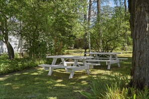 Ein Picknicktisch in einer grünen Umgebung mit Bäumen und einem Gebäude im Hintergrund.