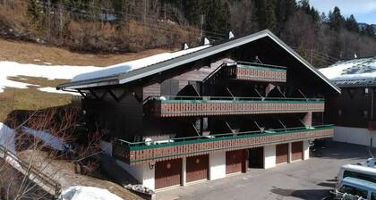 1st floor, balcony, parking, tv, ski locker, 23m², Châtel