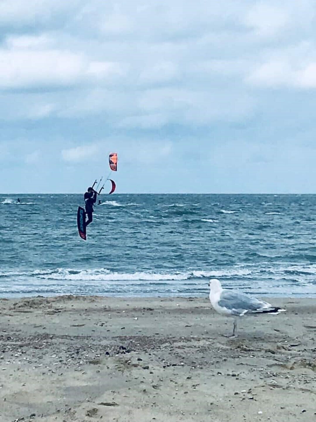 Een strand met een persoon die kitesurft en een meeuw op het zand.