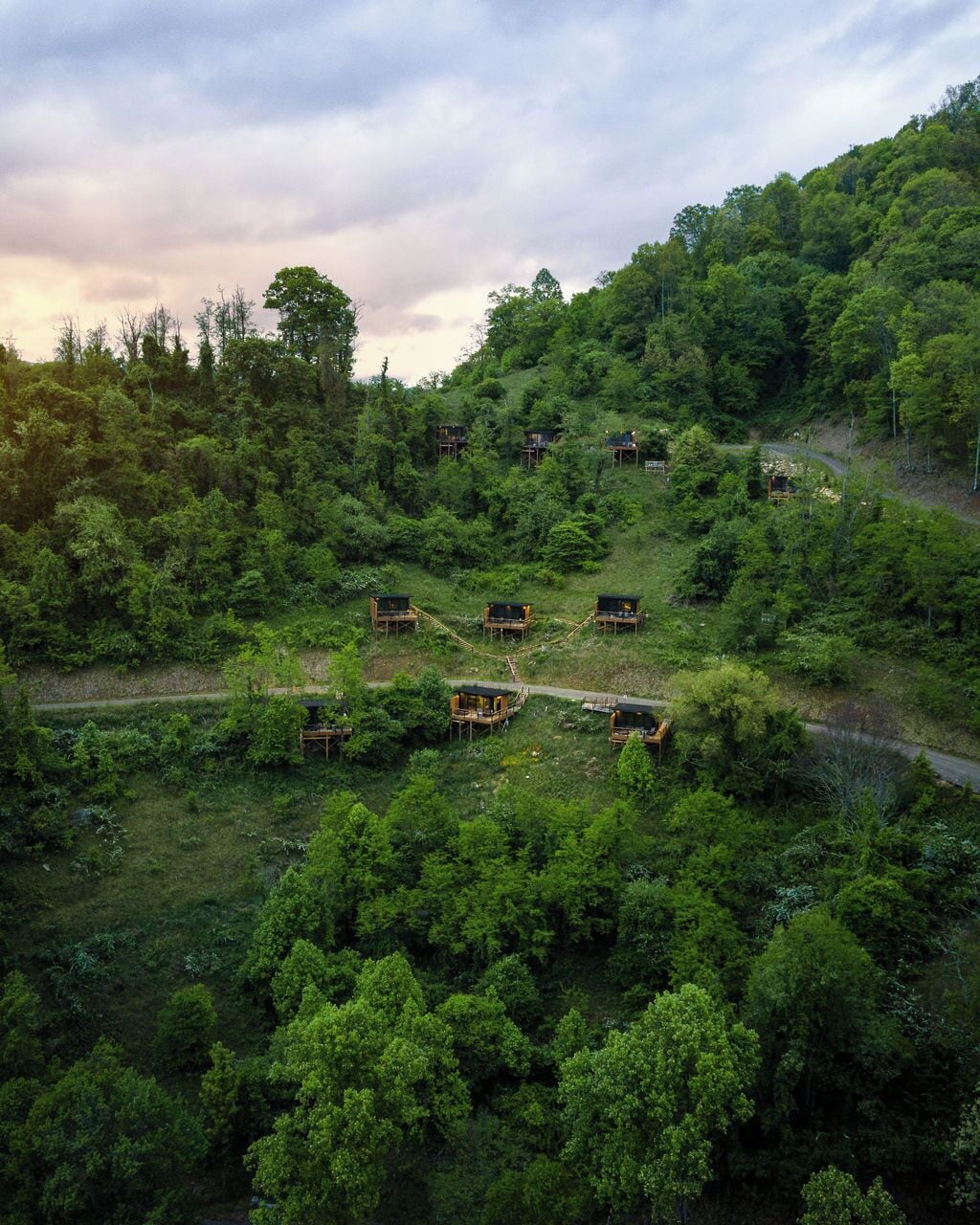 A forested hillside with several wooden cabins.