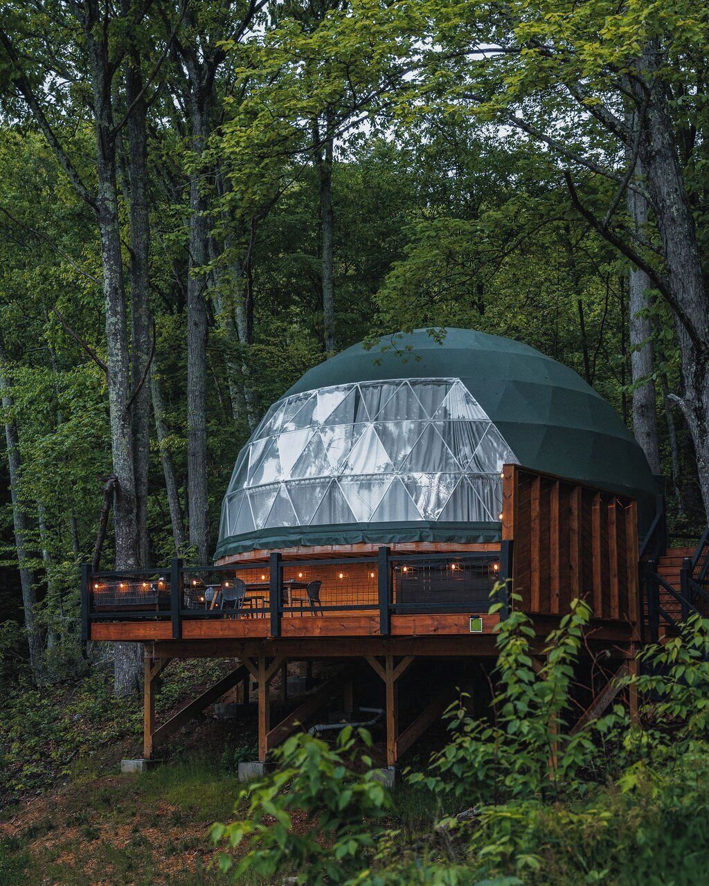 Une structure en forme de dôme géodésique, dotée d’une terrasse en bois et de murs en verre, entourée d’une forêt.