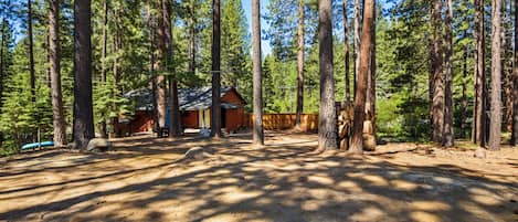 A cabin surrounded by tall pine trees, with a dirt ground and a clear sky.