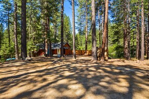 Escape to a serene forest retreat with a cozy cabin surrounded by tall pine trees and a wooden deck.