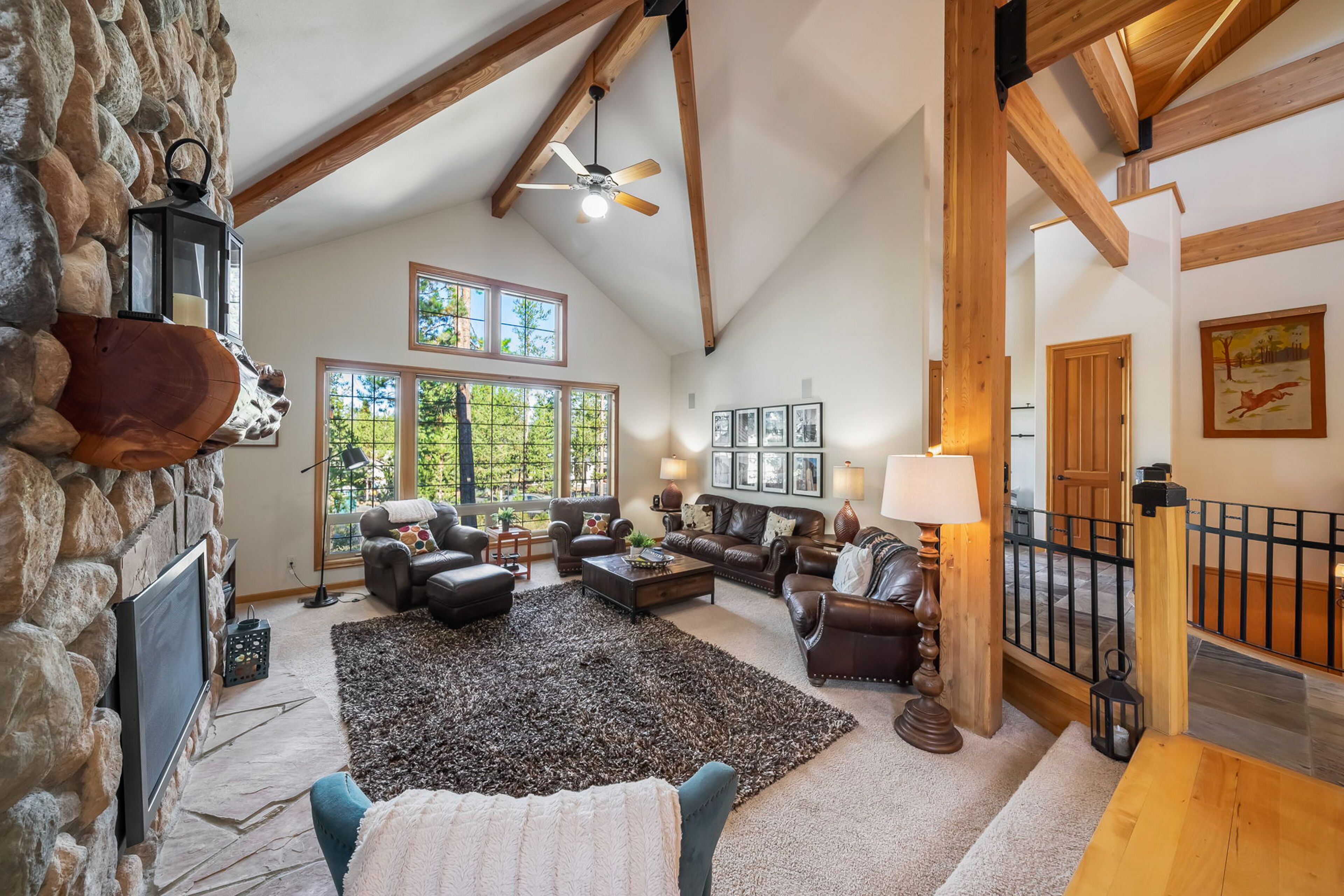 TV, peis, DVD-spiller og bordtennis