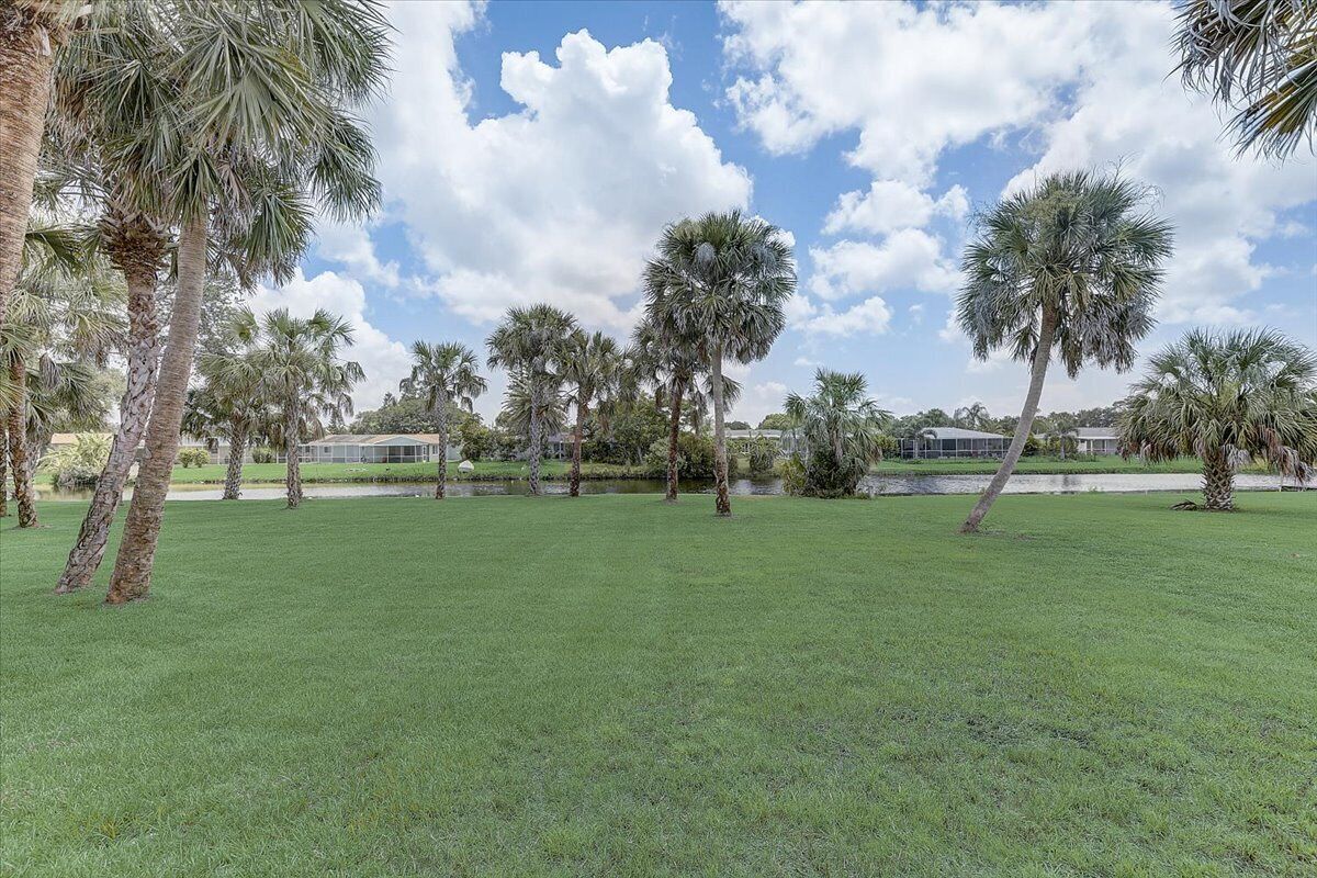 A grassy area with palm trees and a clear sky.
