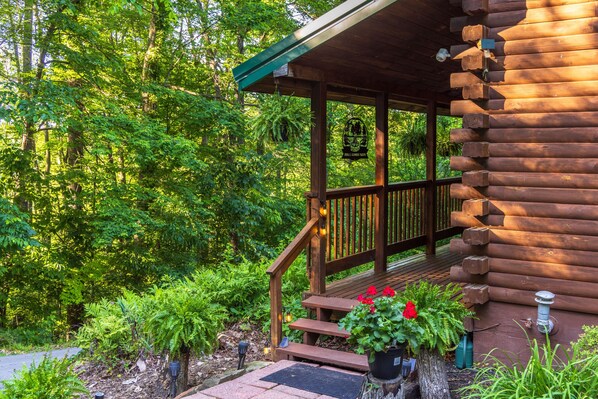 A wooden cabin with a porch, surrounded by lush greenery.