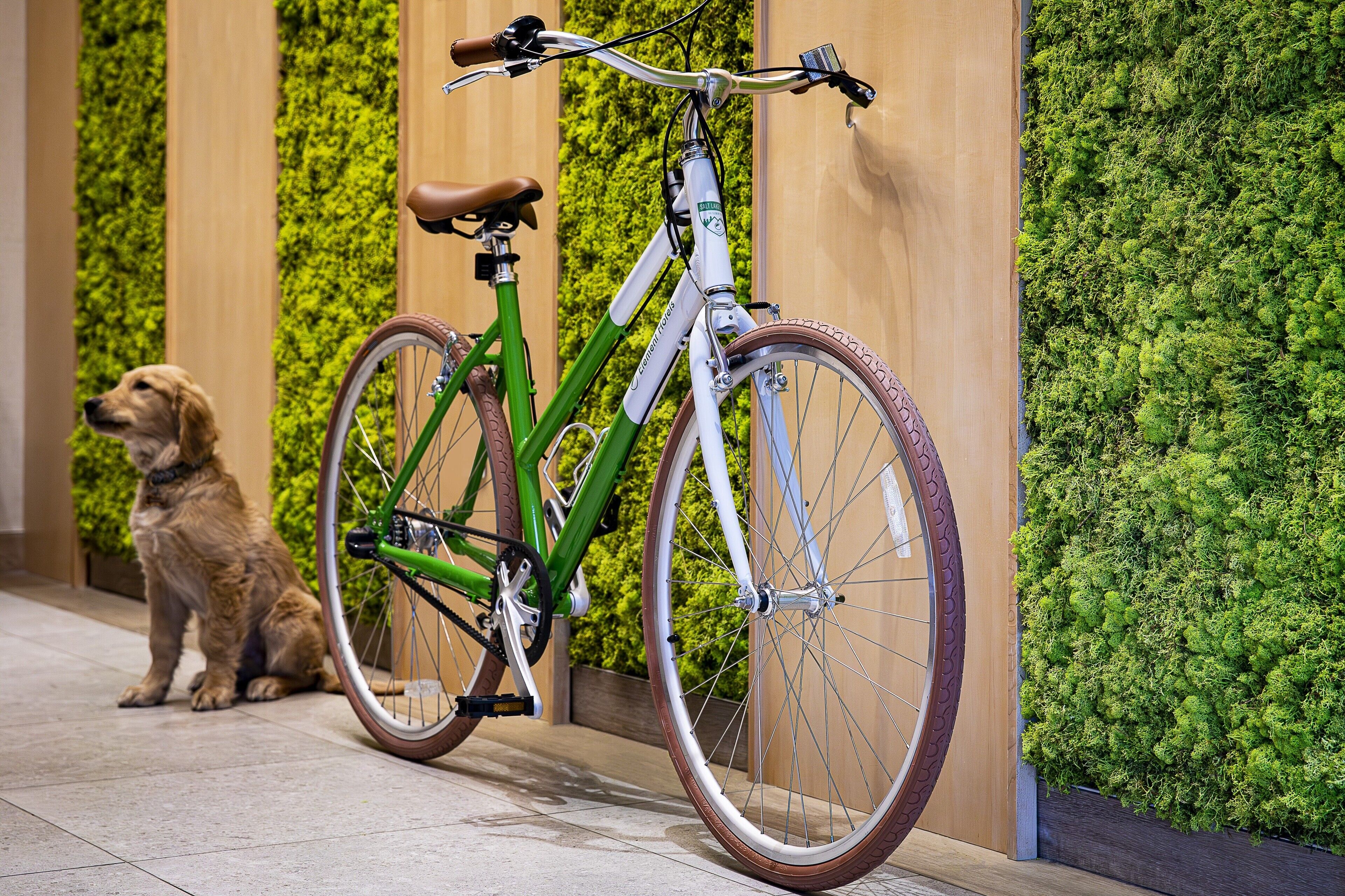 A green bicycle with a brown seat and white frame, leaning against a wall with a vertical green moss wall.