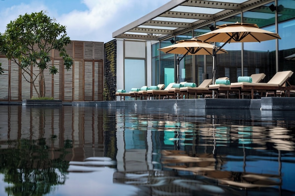 Outdoor pool, sun loungers