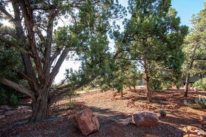 Property grounds - Magical Cottage: Hot Tub, VIEWS, Nature All Around (Sedona)