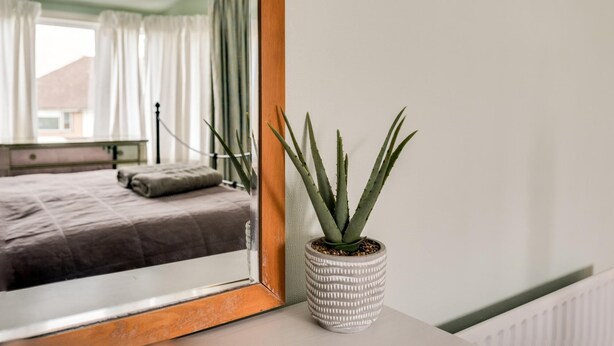 Una planta de aloe vera en maceta sobre una mesita de noche, con un espejo que refleja un dormitorio.
