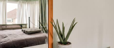 独立别墅 | 3 多间卧室、高速上网