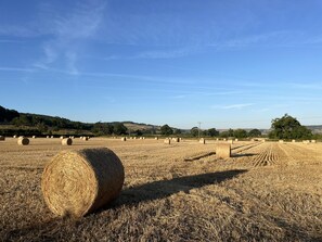 2 habitaciones y sábanas de algodón egipcio 