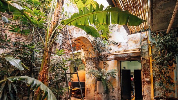 A courtyard with stone walls, potted plants, and a wooden bench. - Boulenc Bed and Bread (Oaxaca)