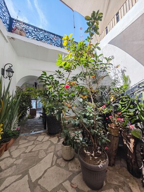 A courtyard with potted plants, a stone floor, and a white wall with a decorative metal railing. - El Jardin de la Abuela (Querétaro)
