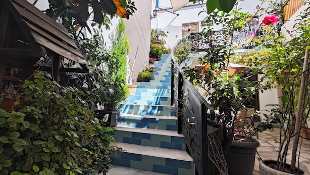 A narrow staircase with blue and white steps leading to a higher level, surrounded by potted plants and greenery.
