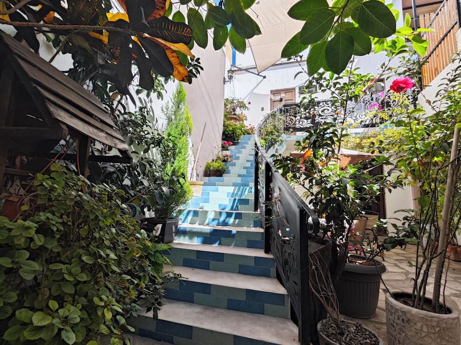 A narrow staircase with blue and white steps leading to a higher level, surrounded by potted plants and greenery.