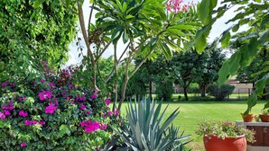 A garden with various plants and flowers, a concrete pathway, and a lawn. - Casa Quinta Mar Casa de campo en el Tule (Santa Maria del Tule)