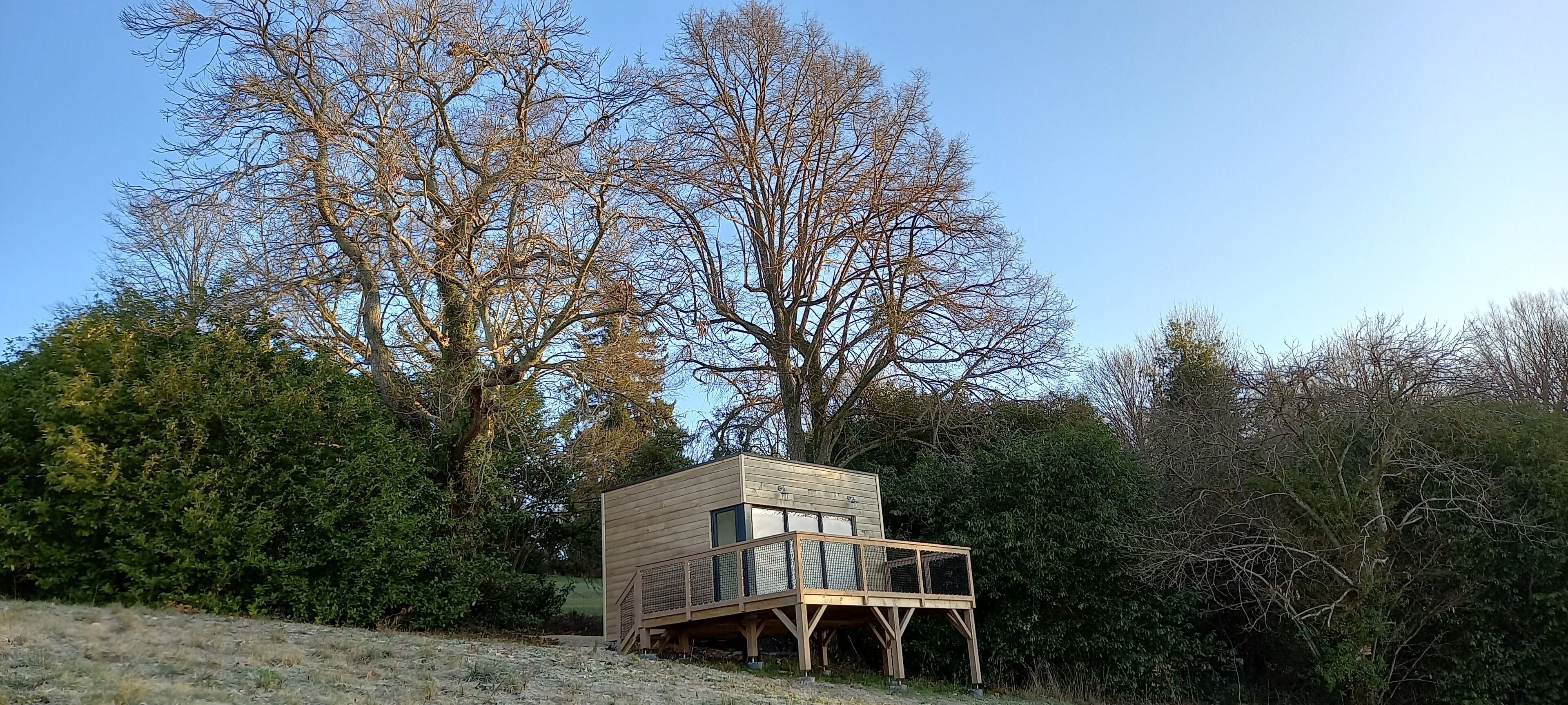 A wooden cabin with a balcony, surrounded by trees and greenery.