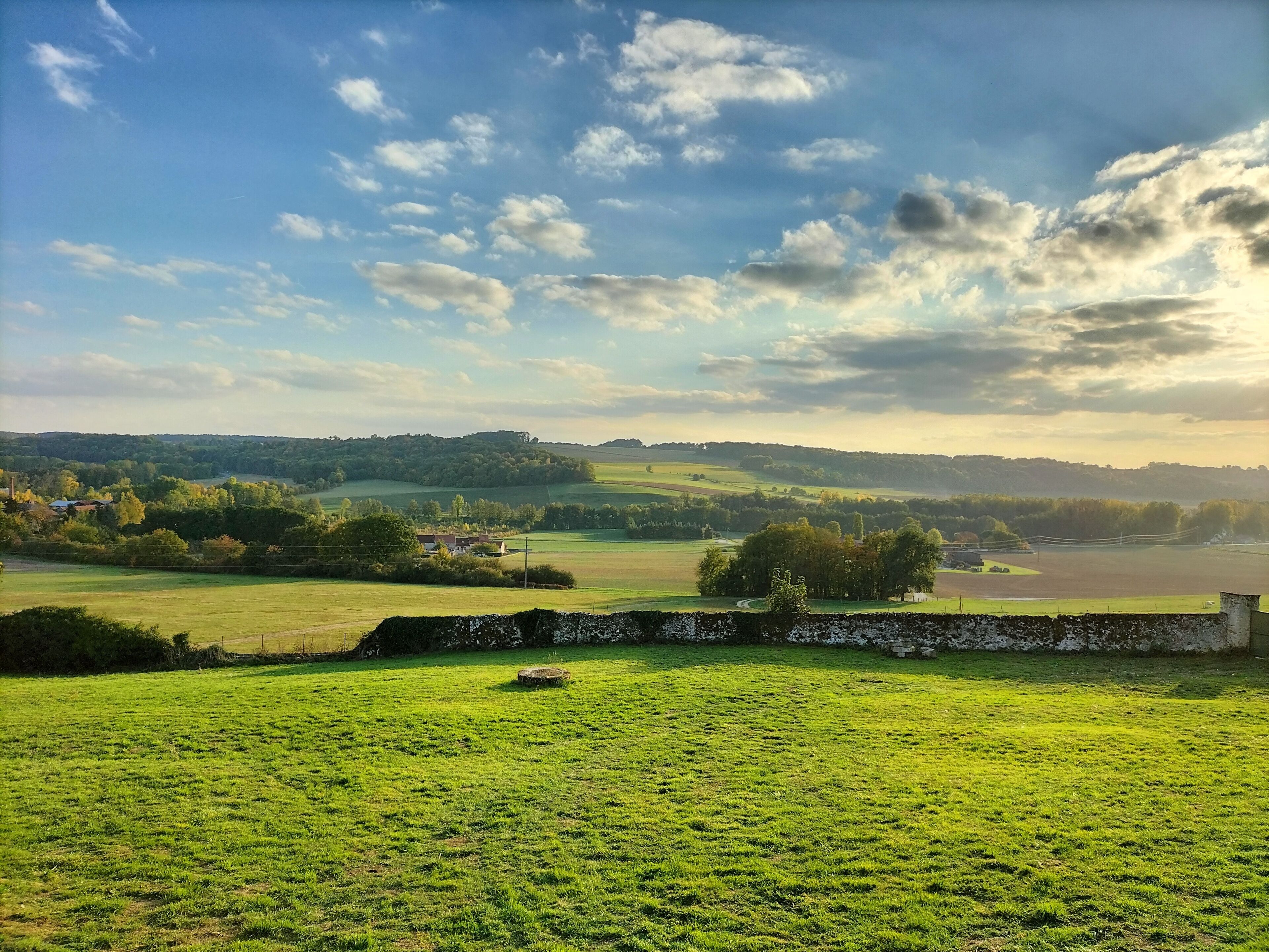 A rural landscape with a stone wall, green fields, and scattered trees.