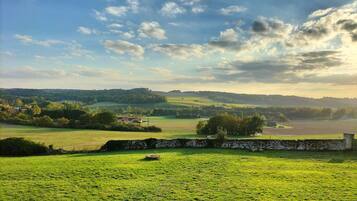 A rural landscape with a stone wall, green fields, and scattered trees.
