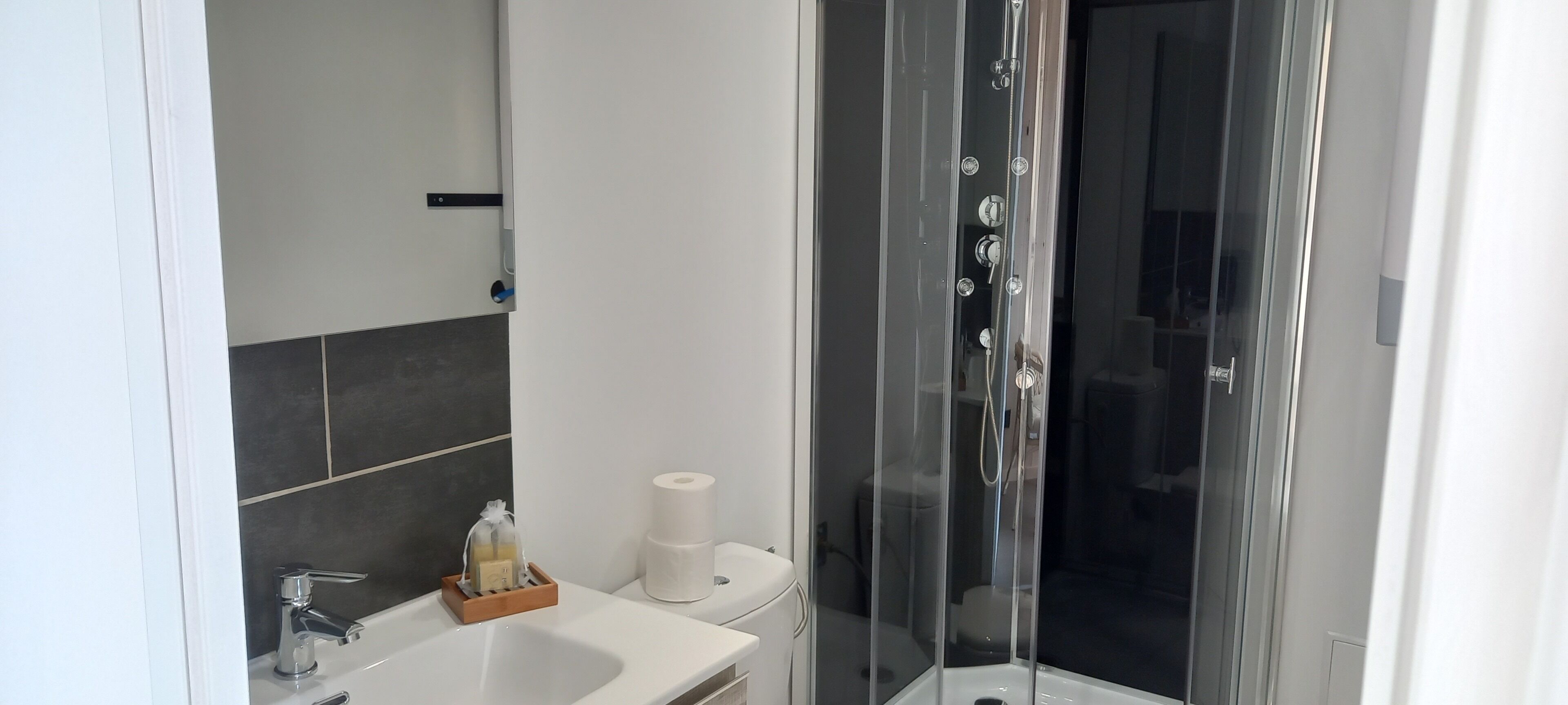 Une salle de bain moderne avec une douche à parois de verre, un lavabo blanc et des toilettes.
