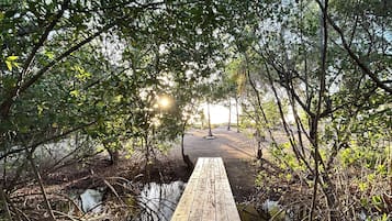 Na praia, toalhas de praia