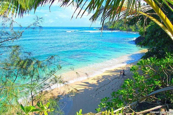 Serviettes de plage
