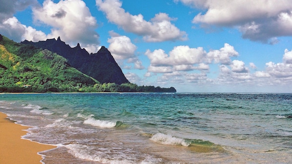 Serviettes de plage