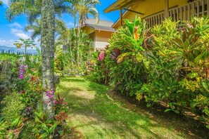 Property grounds - Perfect North Shore Getaway w/ Amenities & Views! (Princeville)