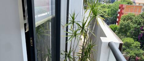 المنطقة المحيطة بالمنشأة