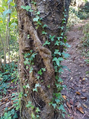 Außendetails