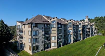 Seven Springs Resort Properties