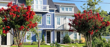 House (Multiple Bedrooms) | Interior