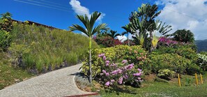 Property grounds - OCEAN, MOUNTAINS, JUNGLE - TOP OF THE WORLD (Chontales)