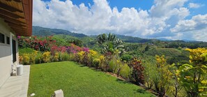 Property grounds - OCEAN, MOUNTAINS, JUNGLE - TOP OF THE WORLD (Chontales)