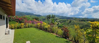 OCEAN, MOUNTAINS, JUNGLE - TOP OF THE WORLD