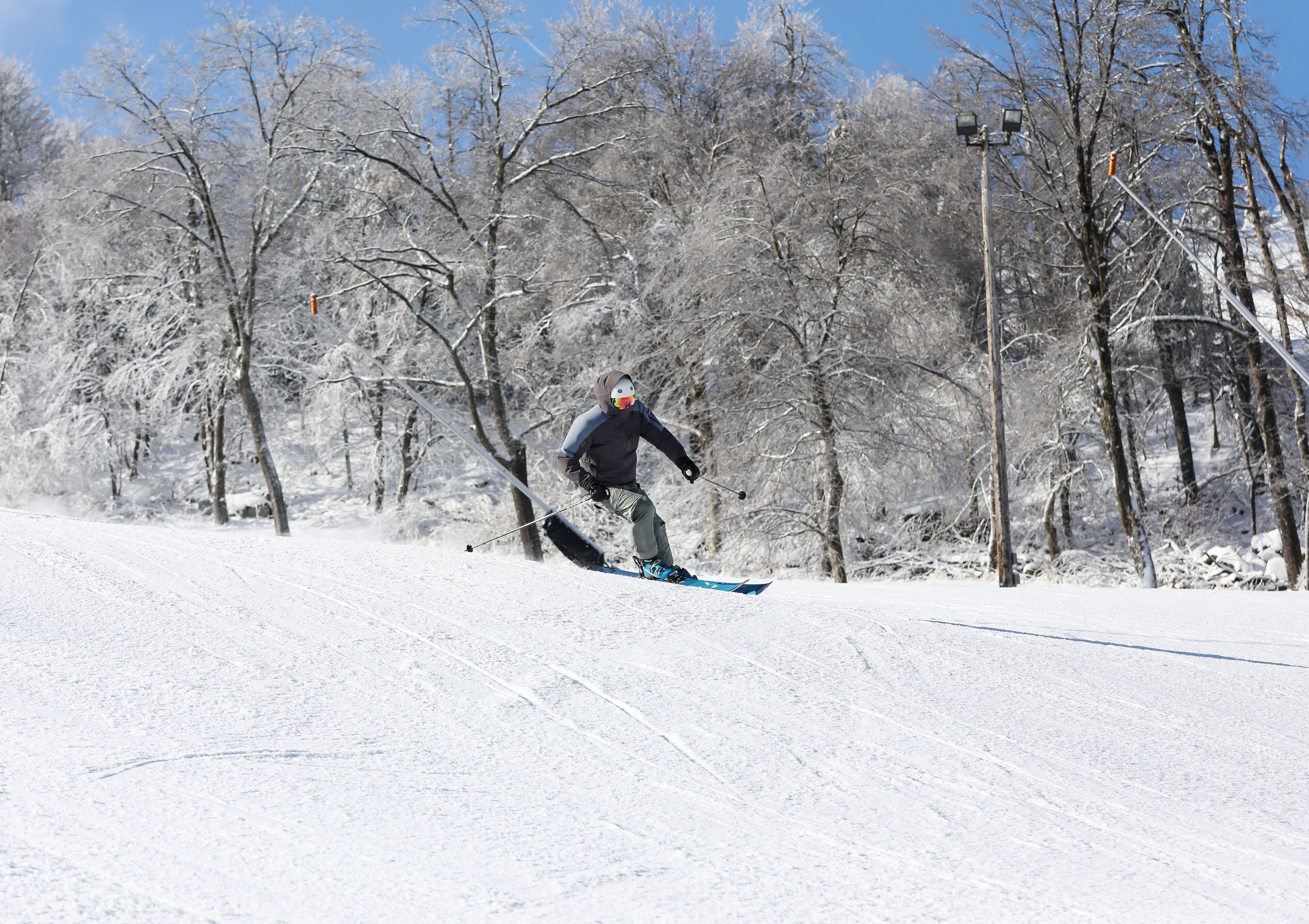 Una persona fent snowboard per una vessant nevada amb arbres despullades al fons.